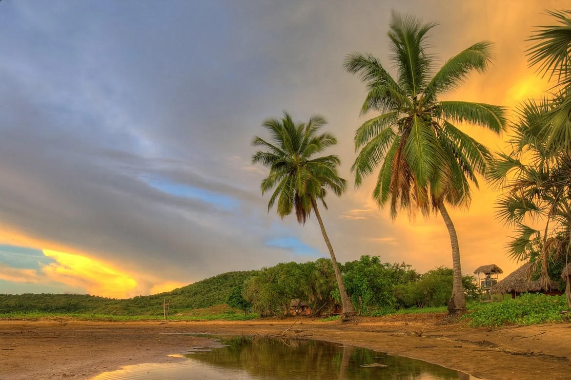 Is Madagascar one of the five largest islands in the world by area?