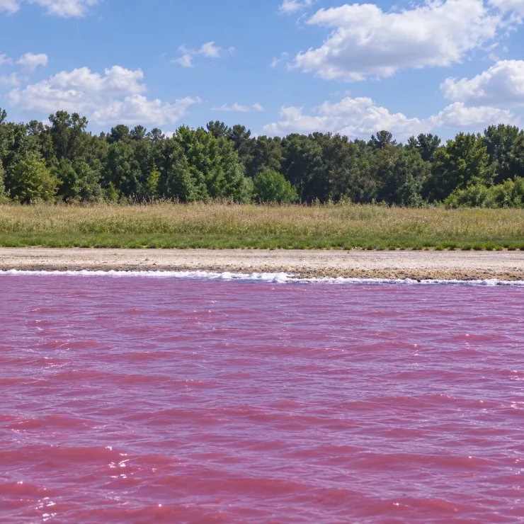 Sicily’s Lake of Myth, Birds and Red Water