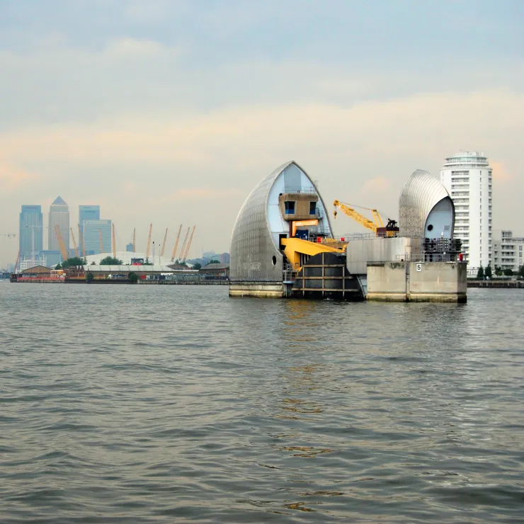 The London River Once Declared Biologically Dead