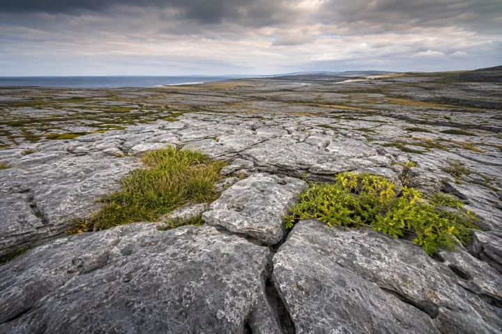 How Old Is the Island of Ireland?
